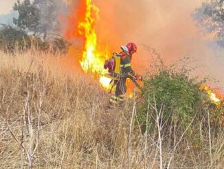 Incendi Nuoro