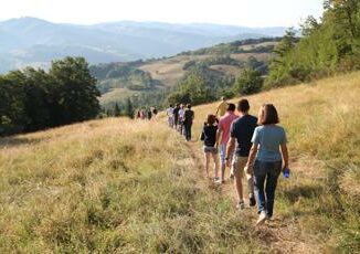 Escursioni in montagna in sicurezza semplici regole e una app per soccorsi