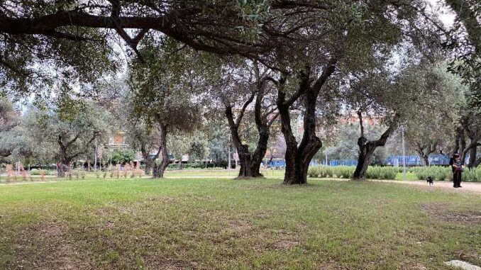 Area verde pubblico viale cimitero Cagliari