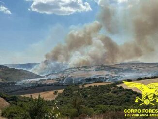 Incendio a Orroli