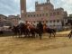 Palio di Siena la Contrada del Leocorno vince la Provaccia