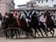 Palio di Siena la Contrada dellOnda vince la prova generale