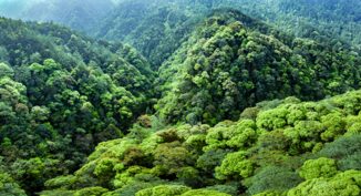 Qianjiangyuan Chinas Amazon Rainforest Nurtures Innovative Examples of Ecological Protection