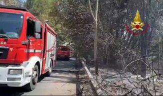 Roma vasto incendio di sterpaglie a Castelnuovo di Porto evacuate abitazioni