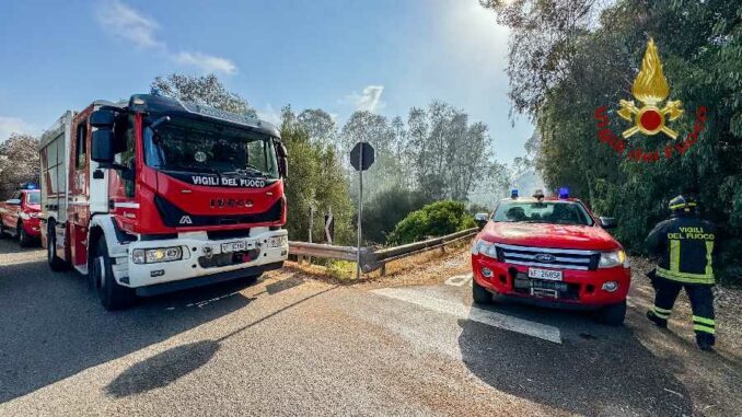 vigili del fuoco spengono incendio vegetazione ad arborea