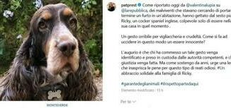 Morte del cane Ricky a Roma e giallo si cercano immagini telecamere