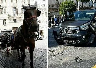 Roma scontro tra auto e botticella in centro ferito il cavallo