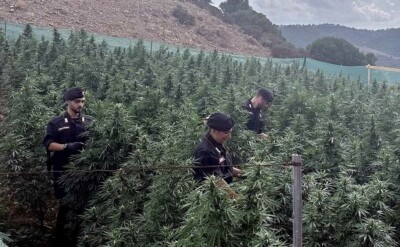 Sequestro coltivazione cannabis in Lula - Foto Carabinieri Comando Provinciale Nuoro