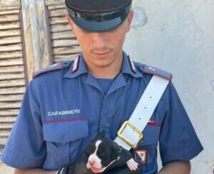 cani salvati da carabinieri a sinnai