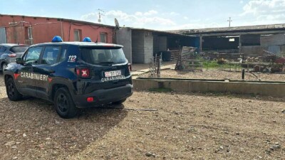 Carabinieri in azienda agricola a San Gavino