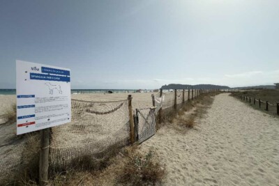 spiaggia per cani al poetto