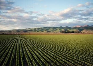 Agricoltura e biodiversita un piccolo passo verso la neutralita carbonica