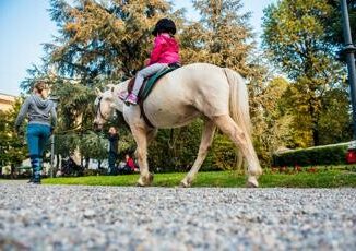 Allippodromo Snai San Siro va in scena il Gran Premio Enel Jockey Club