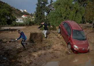 Nessuno usa la parola sostenibilita online si parla di cose concrete clima mobilita rifiuti