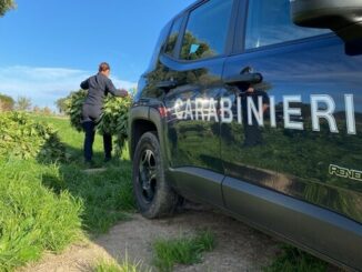 OROTELLI (NU) UN ARRESTO ED UNA DENUNCIA DEI CARABINIERI PER COLTIVAZIONE DI STUPEFACENTI