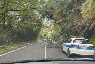 Roma alberi caduti bloccano via Portuense residenti prigionieri