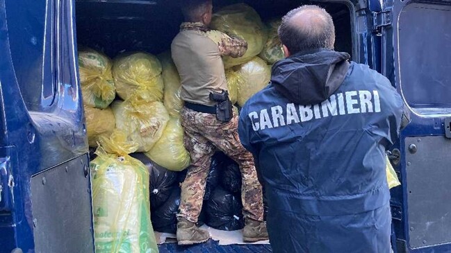 Sarule sequestrati 4 tonnellate di marijuana