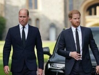 William torna a parlare di Harry il ricordo con la madre Diana in nuovo documentario