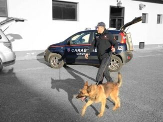 Maltrattamento di Animali a Villasimius: Denunciato un Uomo