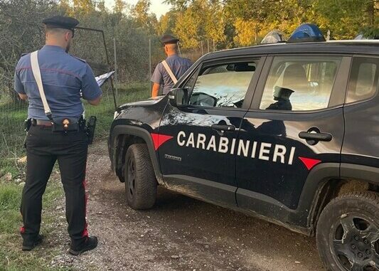 Carabinieri coltivazione droga