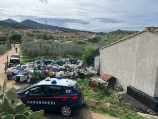 sgombero canile abusivo a quartu