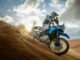 Nuove Yamaha Tenere 700 e Tenere 700 Rally